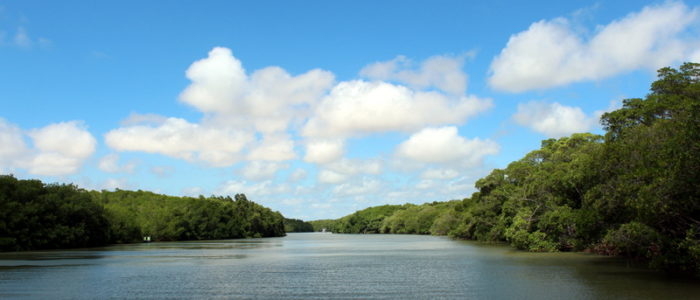 Passeio no Delta do Parnaíba