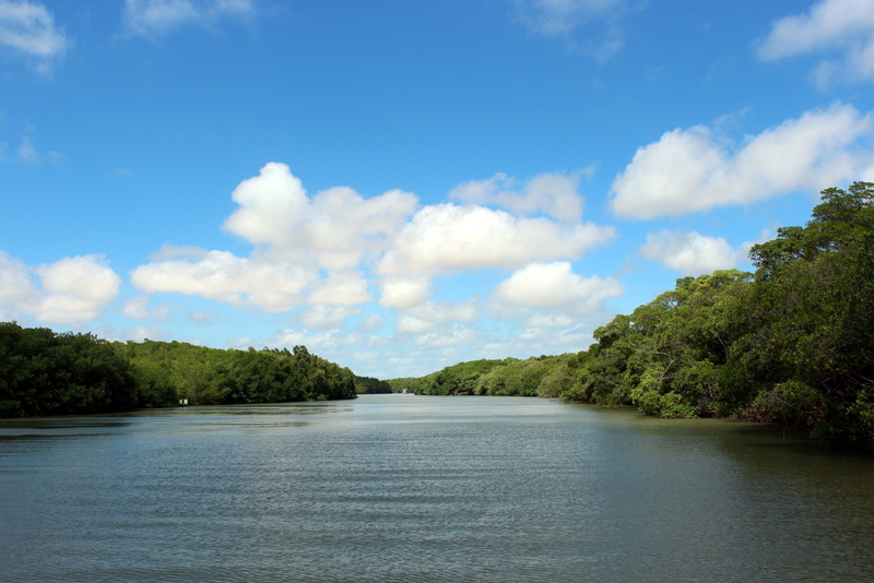 Delta do Parnaíba