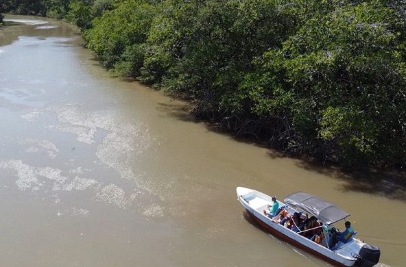 Passeio Delta Canárias (Passeio de Lancha) - Imagem 9