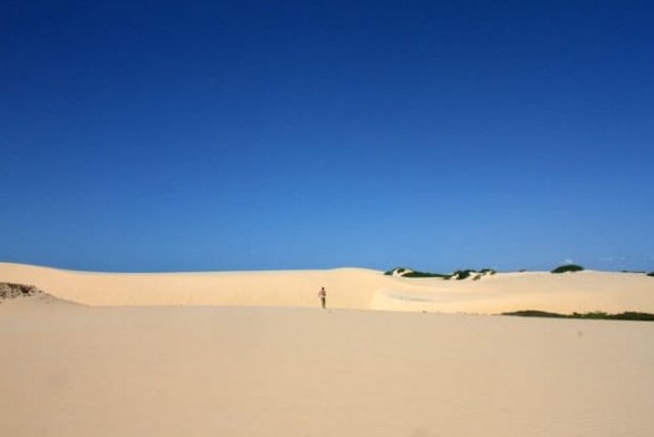 Passeio Delta Canárias (Passeio de Lancha) - Imagem 8