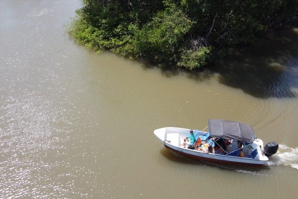 Passeio Delta Canárias (Passeio de Lancha) - Imagem 6