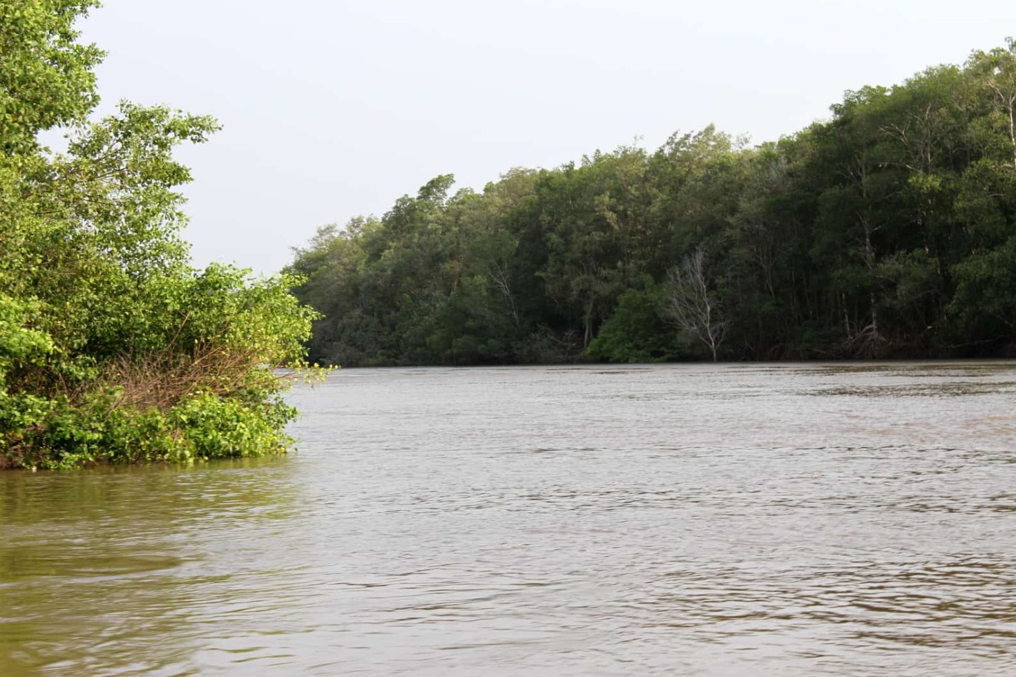 Passeio Delta Canárias (Passeio de Lancha) - Imagem 5