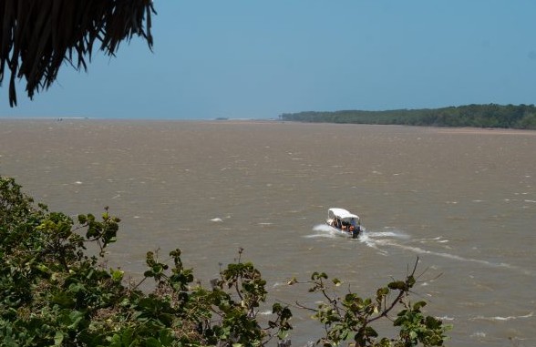 Passeio Delta Canárias (Passeio de Lancha) - Imagem 4