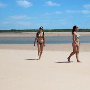 Passeio Delta Canárias (Passeio de Lancha)