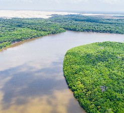Passeio de Catamarã no Delta do Parnaíba - Imagem 4